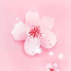 晚上适合看的直播软件免费