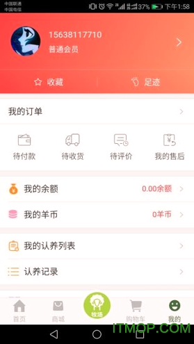 奔跑吧小羊
