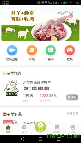 奔跑吧小羊