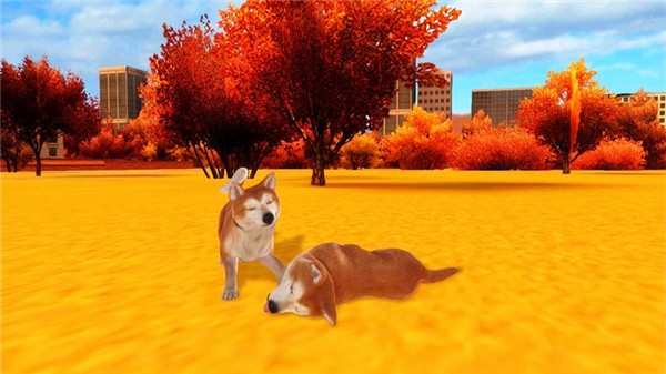 秋田犬