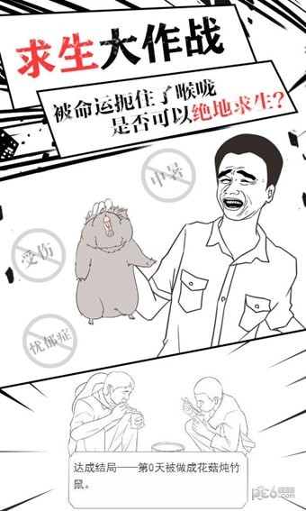 竹鼠求生记