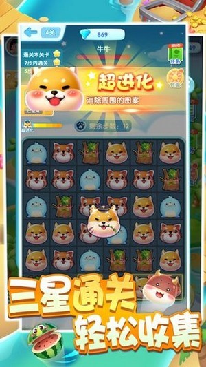 一起来捉宠