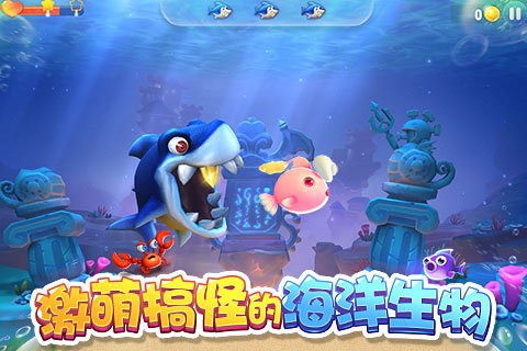 大鱼来了九游版