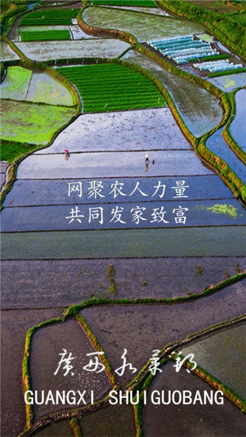 广西水果邦