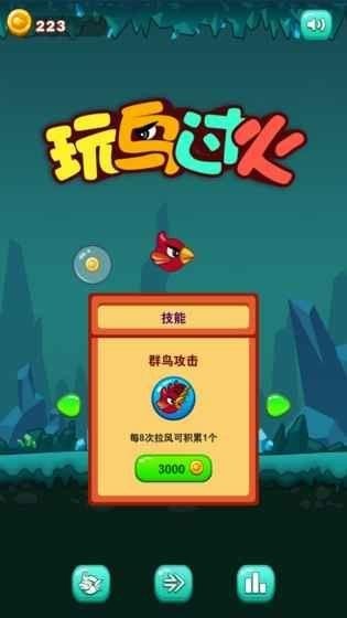 玩鸟过火
