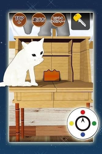 小猫与七夕之夜