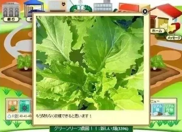 旅行鸡