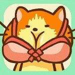 猫的日常