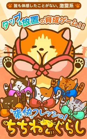 猫的日常