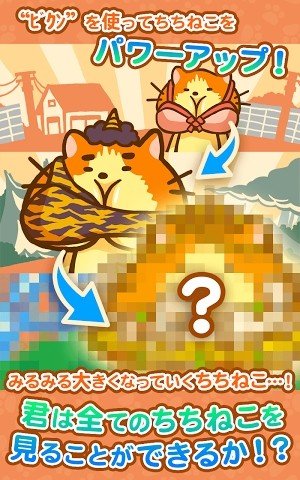 猫的日常