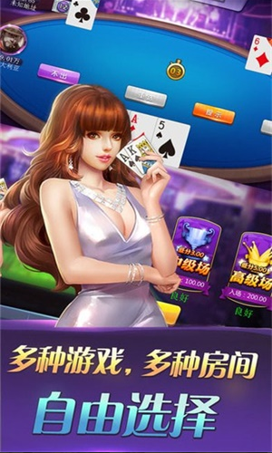 8棋盘牌安卓版
