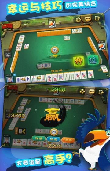 邀月棋盘牌yy66win正式版