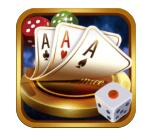 领域牌棋官方版