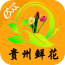 贵州鲜花