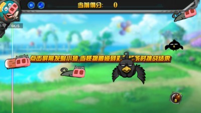 调皮猪