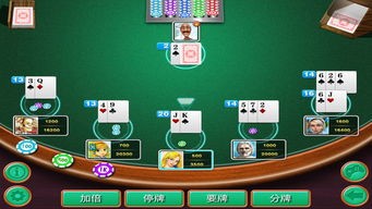 大满贯牌棋官网版最新版
