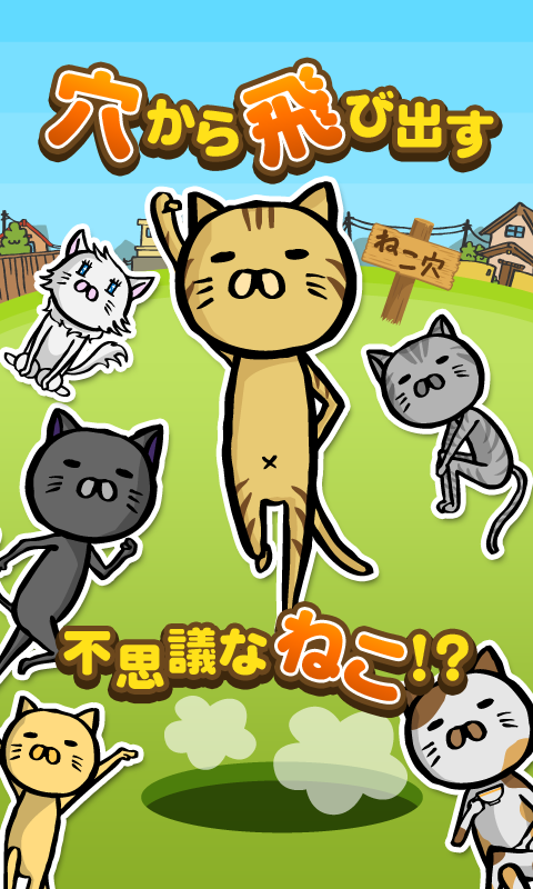 猫洞