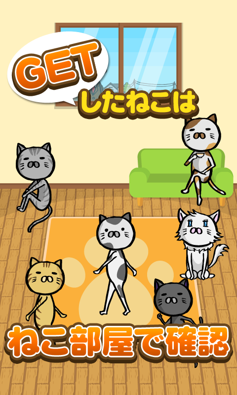 猫洞