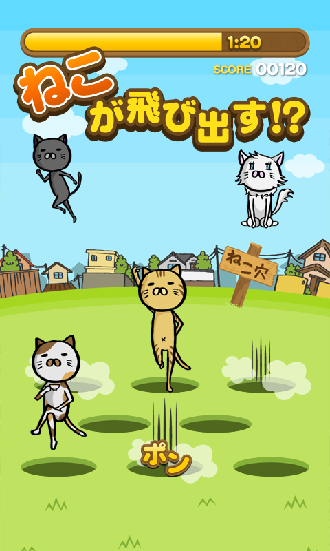 猫洞