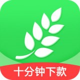 大麦金服