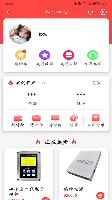 鸽小宝
