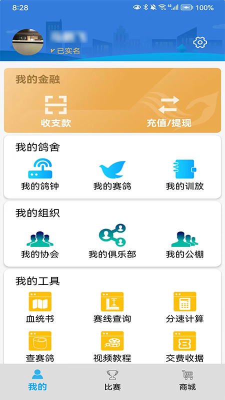 鸽小宝