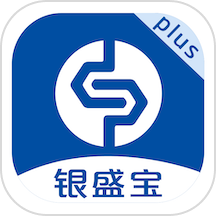 银盛宝plus