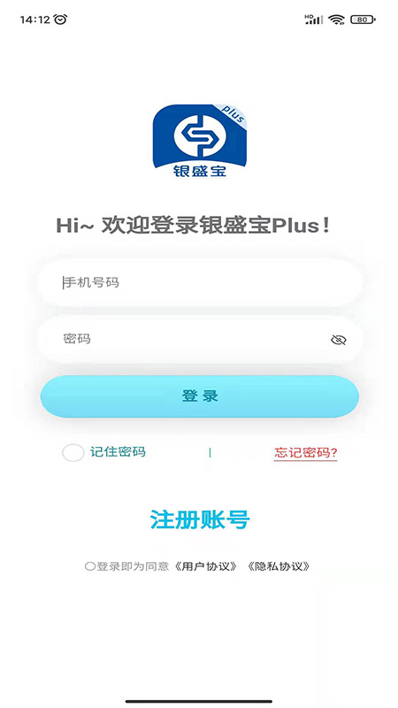 银盛宝plus