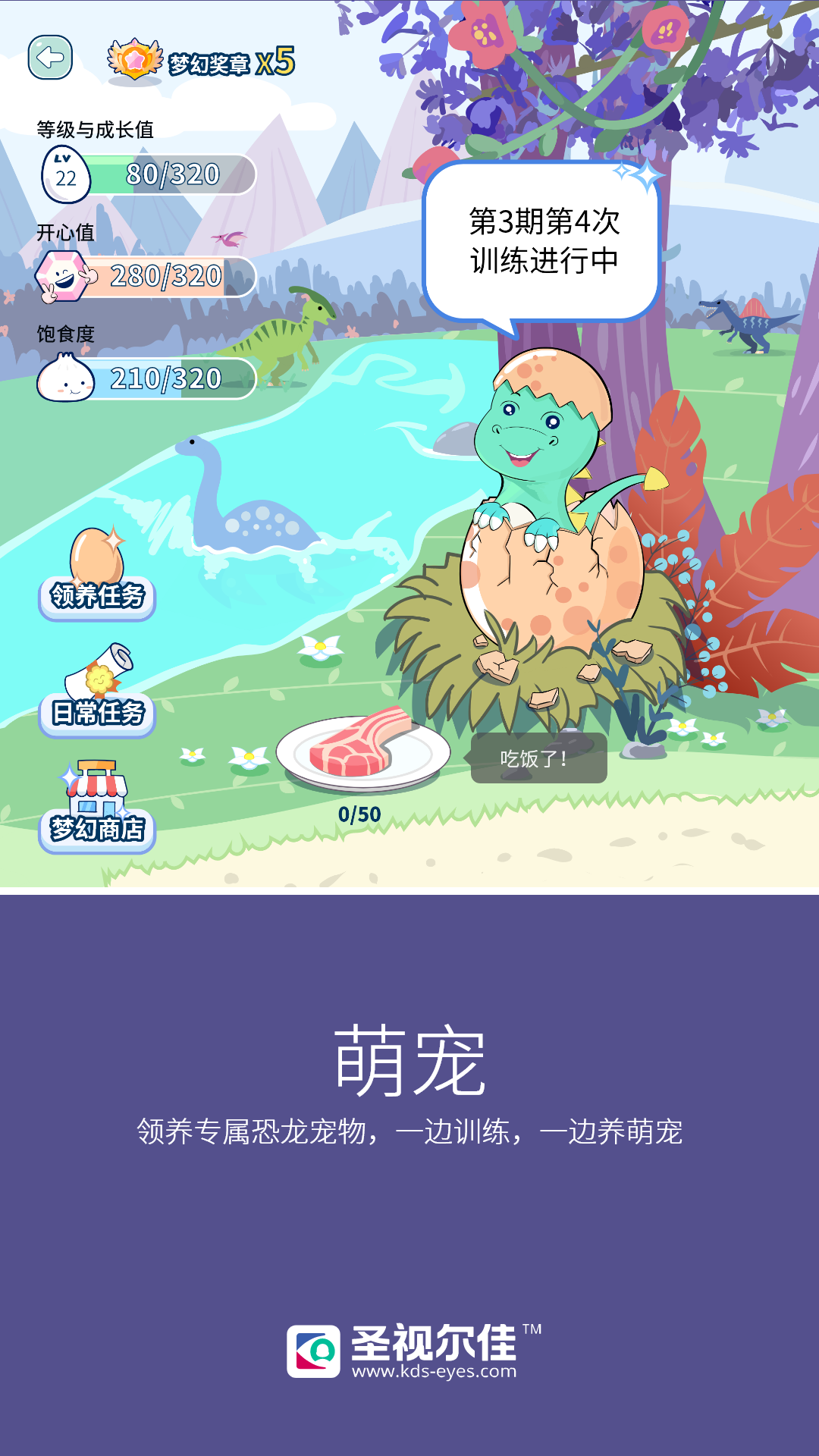 圣视尔佳弱视训练hd