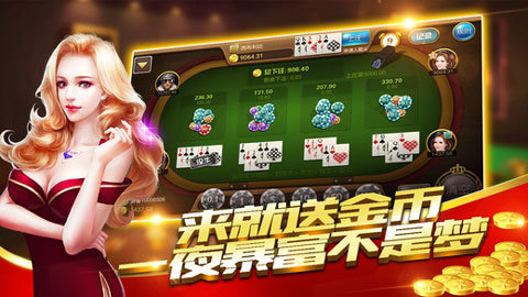 飞禽走兽网络版安装