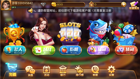 万人金花牌棋