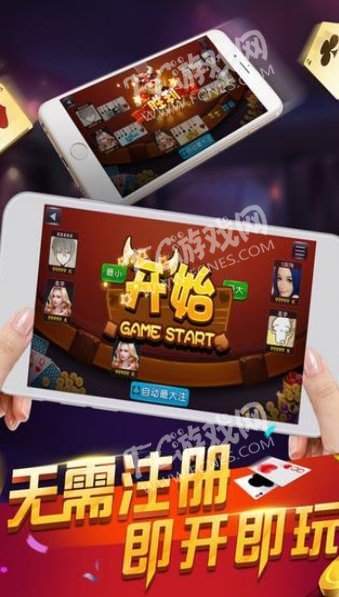 金鲨银鲨