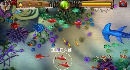 三张牌游戏大厅app