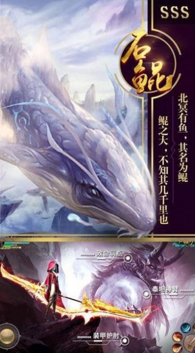 纲目