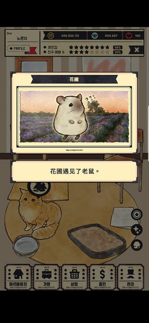 猫咪家园