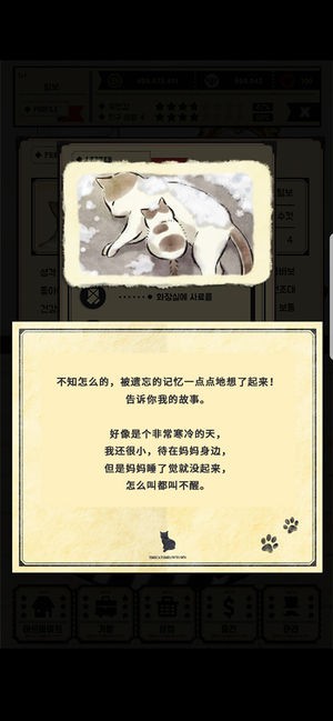 猫咪家园