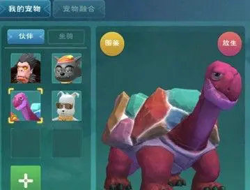 创造与魔法5级龟吃什么
