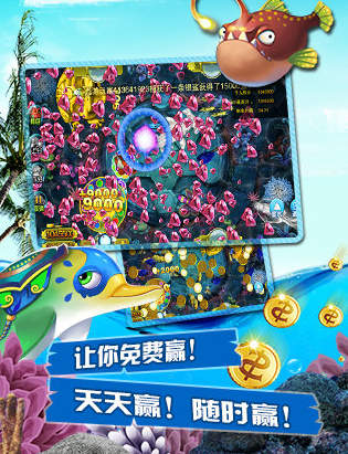 77966摇钱树苹果