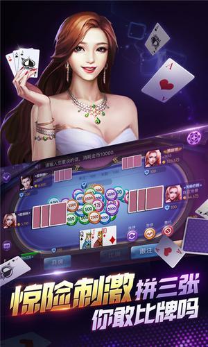 牌棋游戏两副斗地主