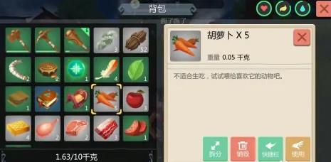 创造与魔法捕捉马的道具是什么