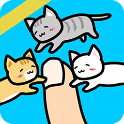 和猫咪行走