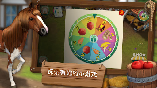 照顾马儿们