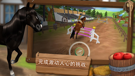 照顾马儿们