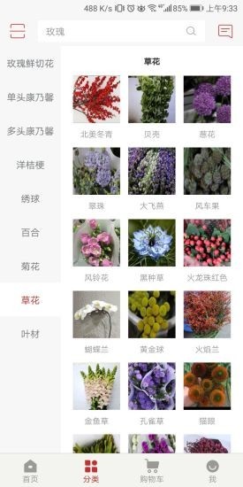 枝蔓花坊