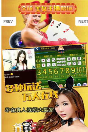 点我牌棋安卓版