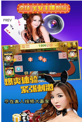 点我牌棋安卓版