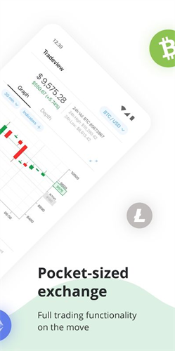 bitswap交易所