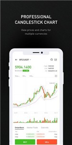 bitcola交易所