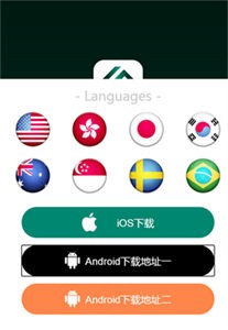 bitcoinwin交易所