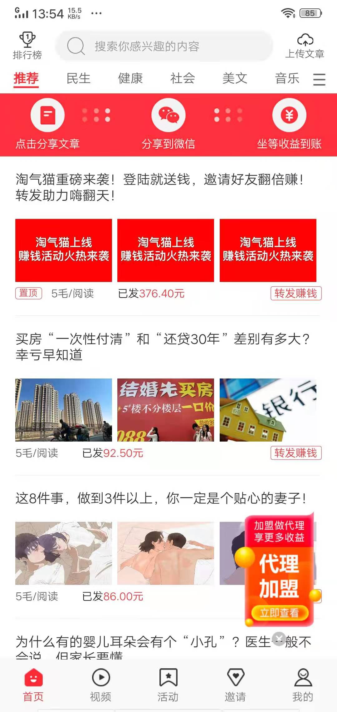 淘气猫